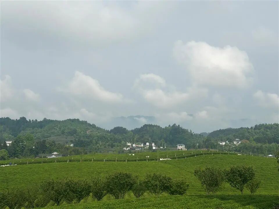 1778049582182392.jpg 微信图片_2026-05-06_094910_613.jpg