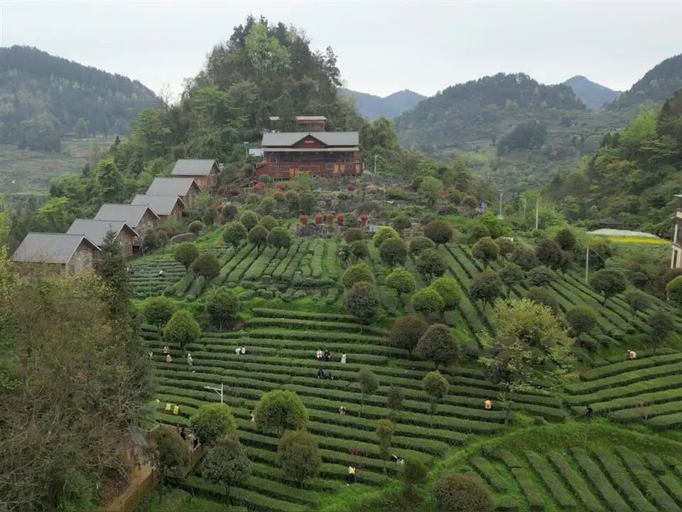 1778049647302406.jpg 微信图片_2026-05-06_095021_621.jpg