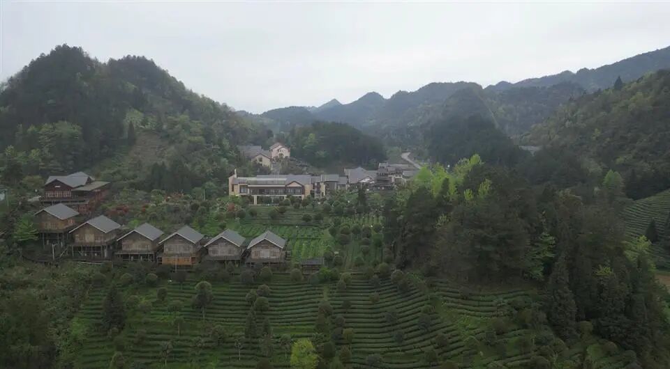 1778049662481081.jpg 微信图片_2026-05-06_095048_724.jpg